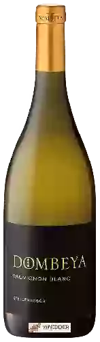 Weingut Dombeya - Sauvignon Blanc