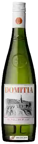 Weingut Domitia - Picpoul de Pinet