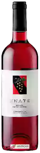 Weingut Enate - Cabernet Sauvignon Rosado