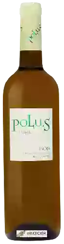 Bodegas Loli Casado - Polus Viura