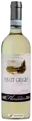 Weingut Ponte di Florentia - Pinot Grigio