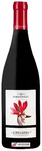 Weingut Esterházy - Leithaberg Blaufränkisch