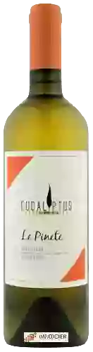 Weingut Eucaliptus - Vermentino Le Pinete Bolgheri