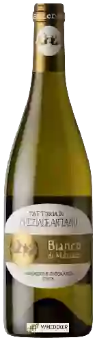 Weingut Fattoria Colleallodole Milziade Antano - Bianco di Milziade