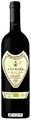 Weingut Fattoria Mondo Antico - Collina del Pernione Agenore