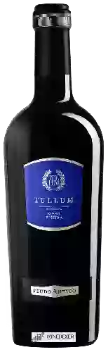 Weingut Feudo Antico - Tullum Rosso Riserva