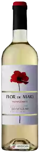 Weingut Flor de Maio - Mayflower Branco