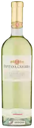 Weingut Fontana Candida - Frascati Cannellino