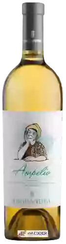 Weingut Fontanafredda - Ampelio Chardonnay Langhe