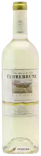 Domaine de Terrebrune - Bandol Blanc