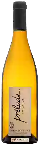 Weingut Jonathan Didier Pabiot - Prélude Pouilly Fumé