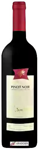 Weingut L'Orpailleur Frédéric Dumoulin - Pinot Noir