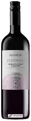 Weingut Galasso - Feronia Montepulciano d'Abruzzo
