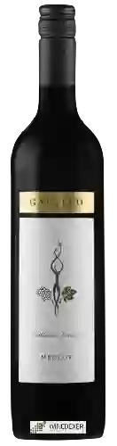 Weingut Gapsted - Ballerina Canopy Merlot