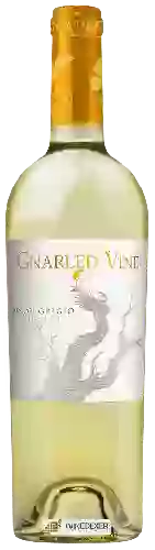 Weingut Gnarled Vine - Pinot Grigio