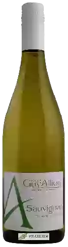 Weingut Guy Allion - A Sauvignon