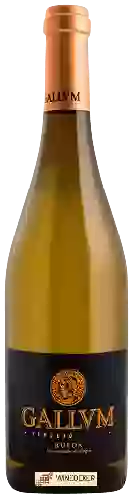 Bodegas Rincon de Pedraza - Gallvm Verdejo