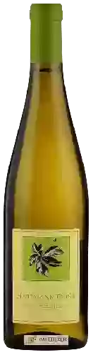 Weingut Hartmann Donà - Gewürztraminer