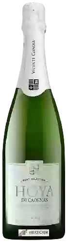 Weingut Hoya de Cadenas - Organic Cava Brut