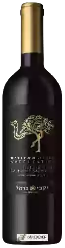 Weingut Carmel (יקבי כרמל) - Appellation Cabernet Sauvignon