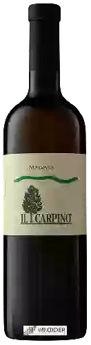 Weingut Il Carpino - Malvasia