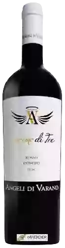 Weingut Angeli di Varano - Primo di Tre Rosso Conero