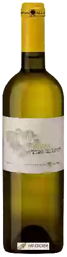 Weingut Fattoria del Cerro - Manero Bianco di Toscana