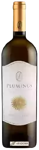 Weingut Ferruccio Deiana - Pluminus Isola dei Nuraghi