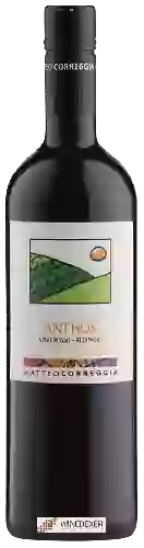 Weingut Matteo Correggia - Anthos