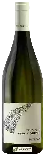 Weingut Roeno - Tera Alta Pinot Grigio