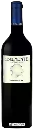 Weingut J. Belmonte - 8 Meses Barrica