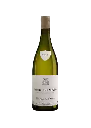 Weingut Jean Marc Pillot - Bourgogne Aligoté