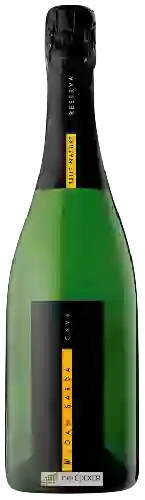 Weingut Joan Sardà - Cava Brut Nature Reserva