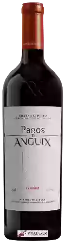 Weingut Juvé & Camps - Pagos de Anguix Costalara