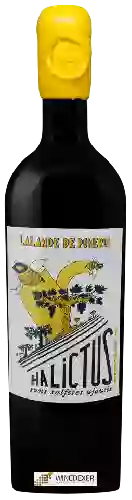 Château La Croix de Chenevelle - Halictus Lalande-de-Pomerol