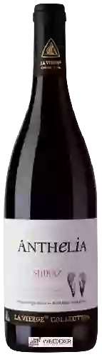 Weingut La Vierge - Anthelia Shiraz