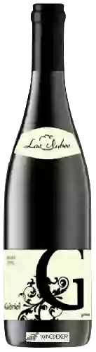 Weingut Las Nubes - Las Nubes Gabriel Tinto