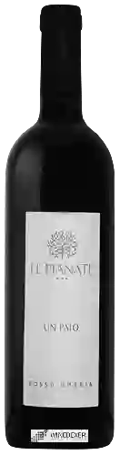 Weingut Le Pianate - Un Paio Rosso