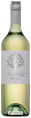 Weingut Little Eden - Moscato