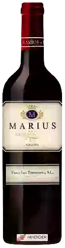 Weingut Finca Los Timonares - Marius Reserva