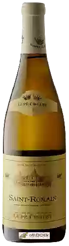 Weingut Lupé-Cholet - Saint-Romain