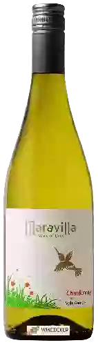 Weingut Maravilla - Chardonnay