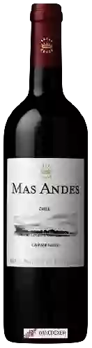 Weingut Mas Andes - Carménère