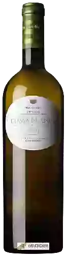 Weingut Mas d'en Gil - Coma Blanca Priorat