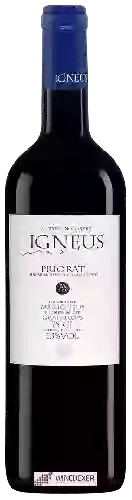 Weingut Mas Igneus - Vinyes de Coster FA 112
