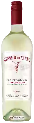 Weingut Fauno - Pinot Grigio