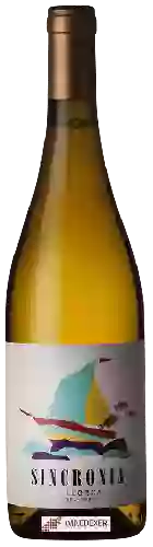 Weingut Mesquida Mora - Sincronia Blanc