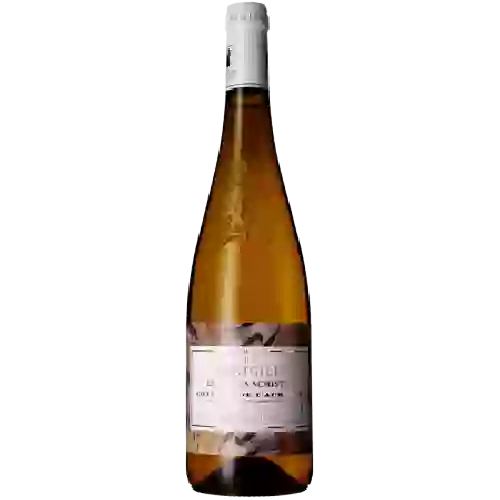 Domaine de Montgilet - Crémant de Loire Brut