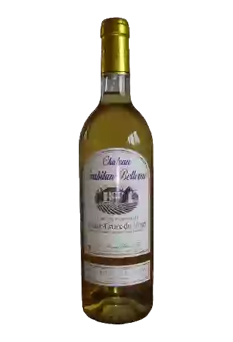 Château du Mont - Bordeaux Blanc Sec