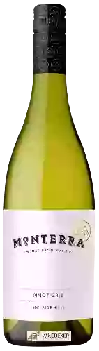 Weingut Monterra - Pinot Gris